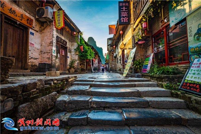 逃离马儿森林
